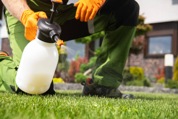 Best Termite Control Services  in Sleepy Hollow, NY