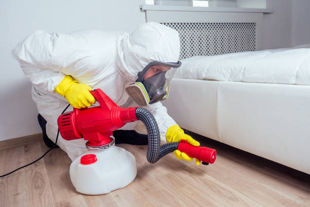 Insect Control in Sleepy Hollow, NY