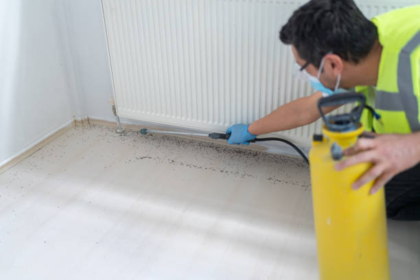 Best Flea Control Services  in Sleepy Hollow, NY
